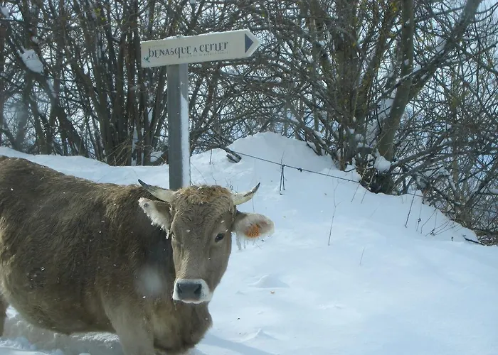 Ball Benas Edificio Aigualluts Apartamento Cerler